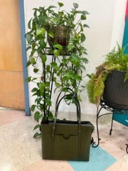 Provence Front Pocket Handbag