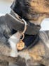Médaille pour Chien Hexagonale à Personnaliser