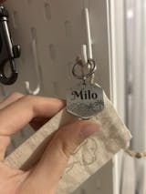 Médaille pour Chien Hexagonale à Personnaliser