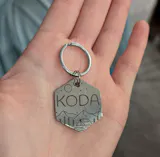 Médaille pour Chien Hexagonale à Personnaliser