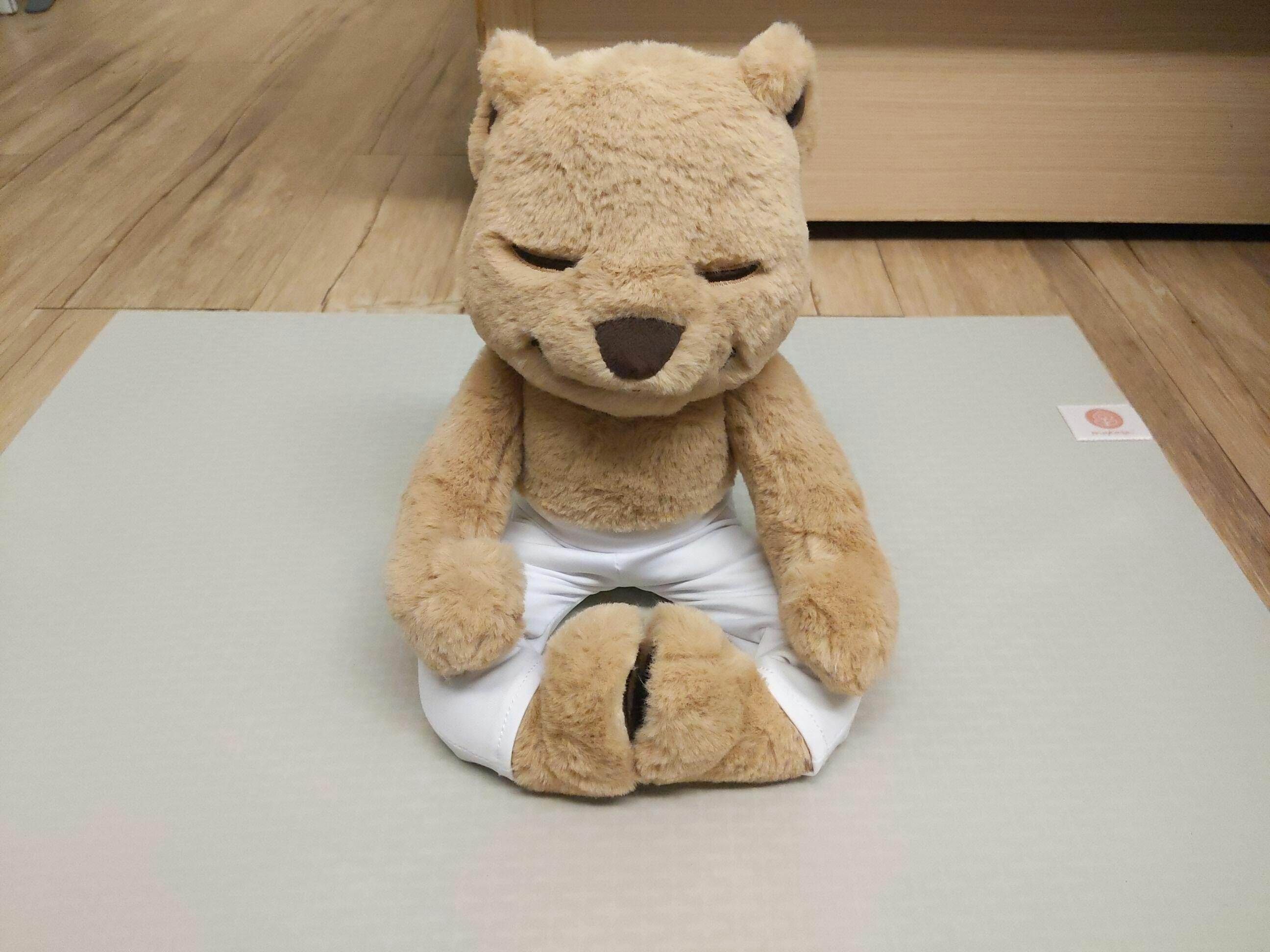 Meddy Teddy Original Yoga Teddy Bear Plush Toy (37 Cm.)