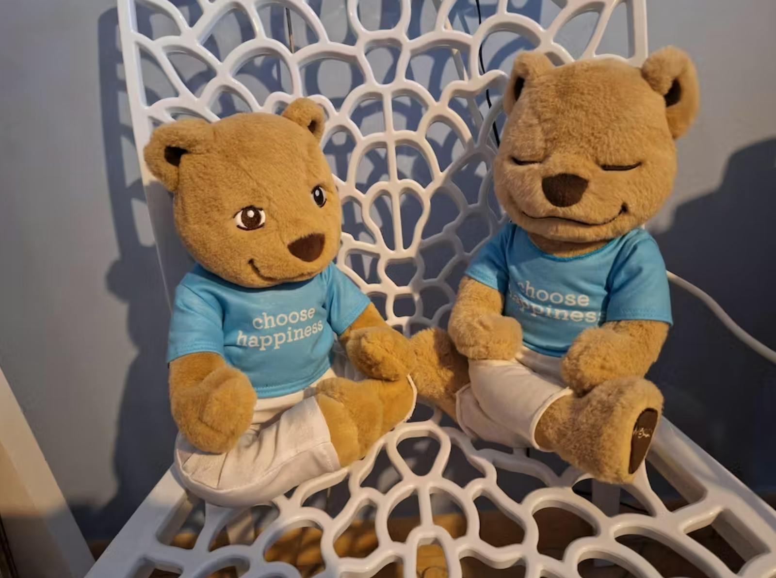 Hospice teddy bear project continues to make memories | 13newsnow.com