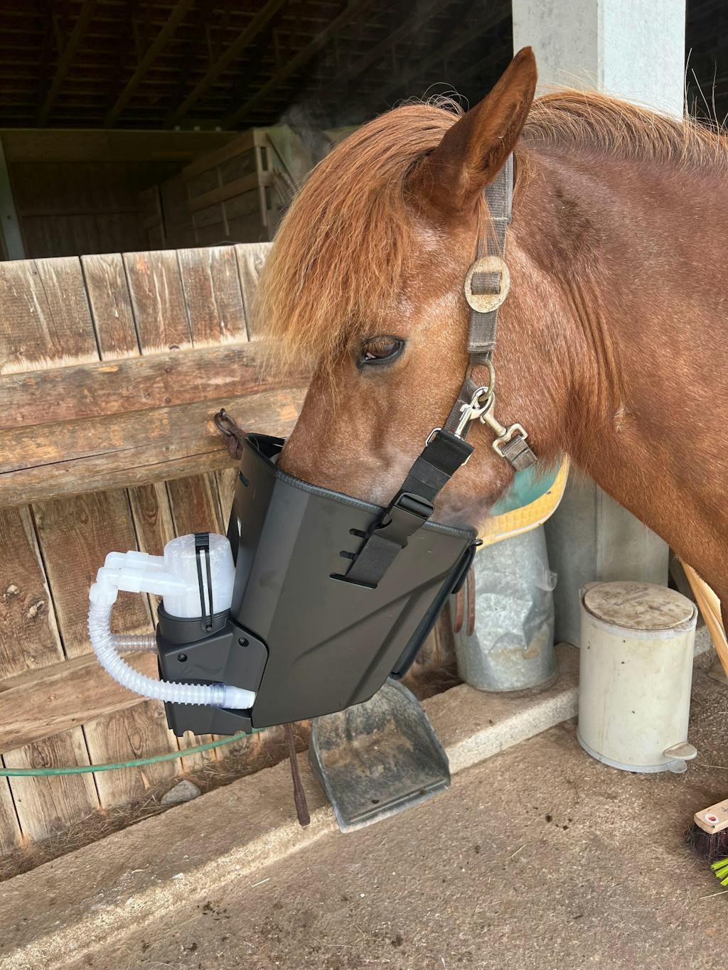 Inhalator für Pferde equosonic free Starterpaket