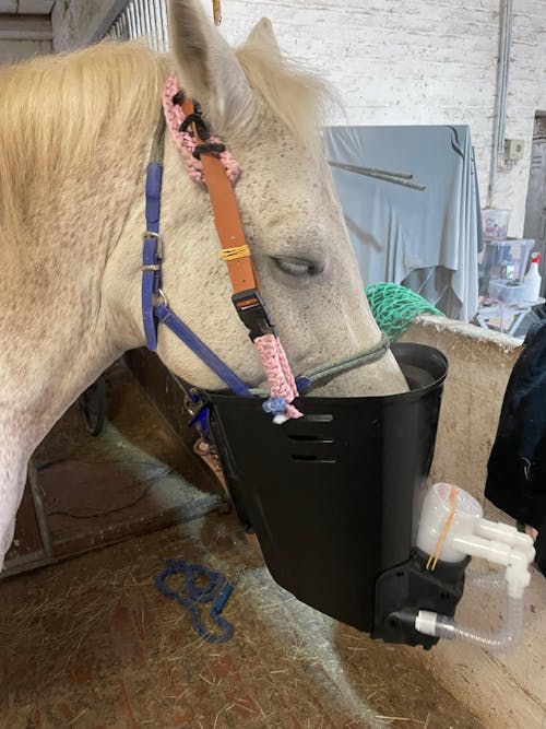 Inhalationskapsel VPE 2 Stück (equosonic Privat, Klinik, free)