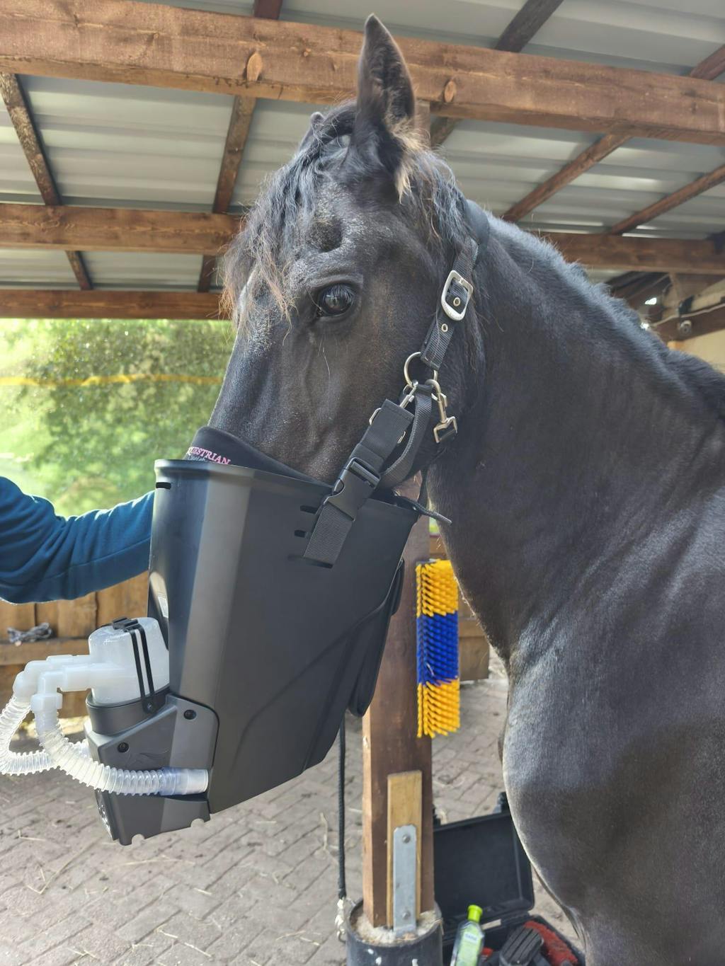 Inhalator für Pferde equosonic free Starterpaket