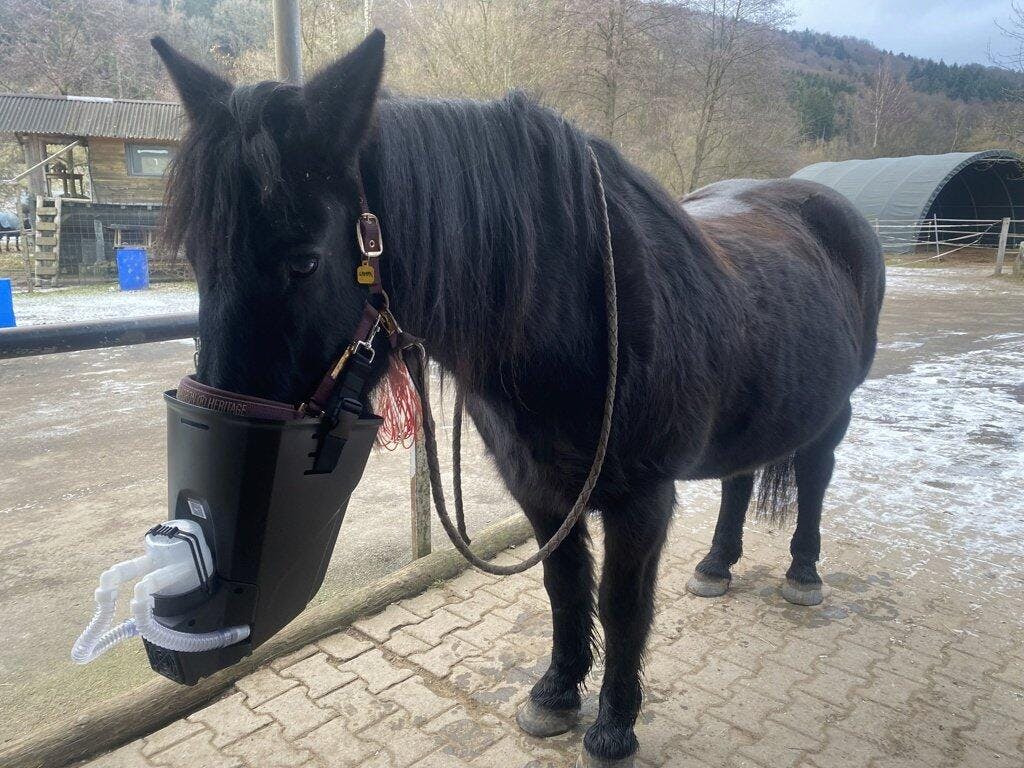 Medizintechnik Hartwig GmbH