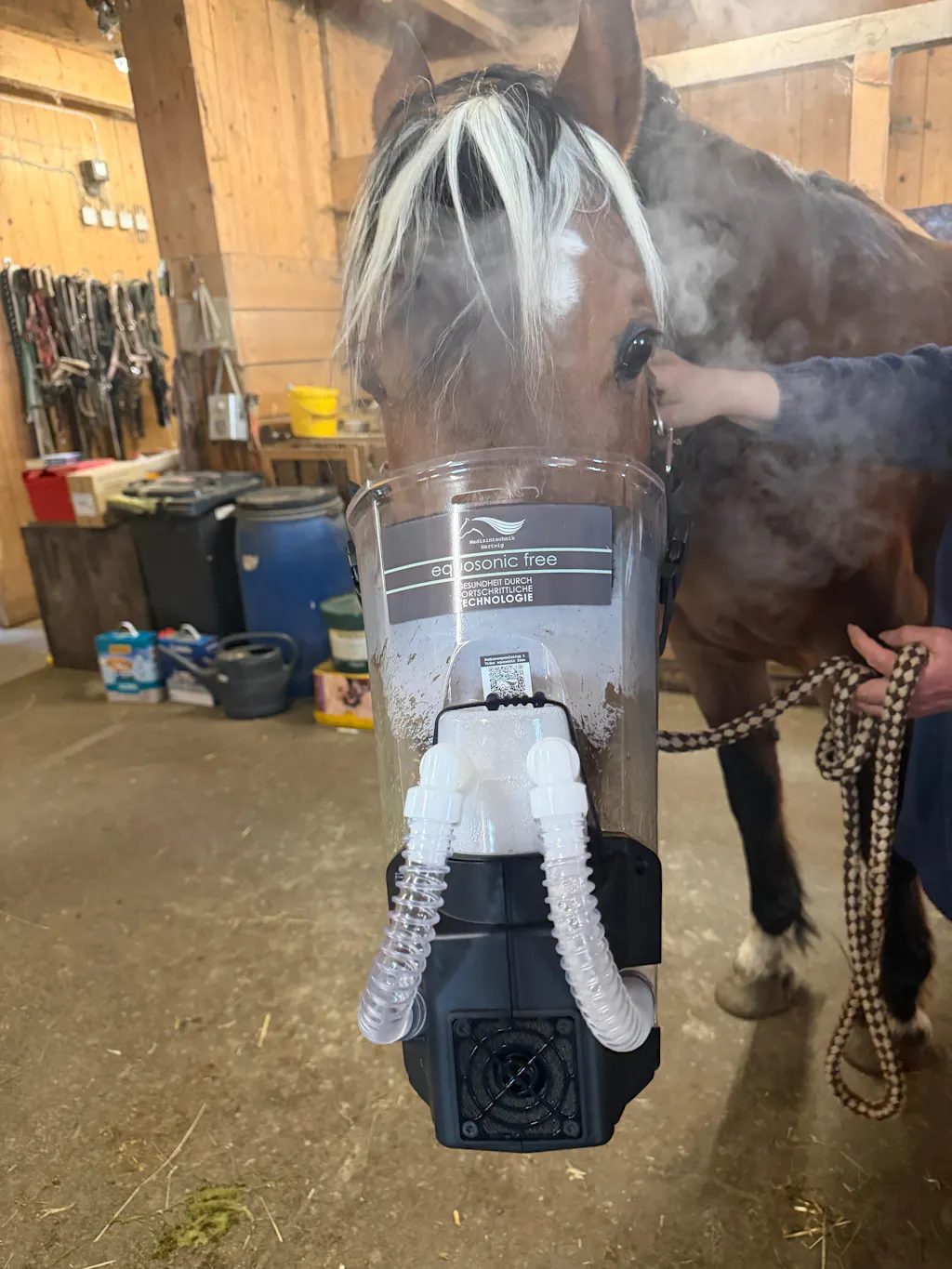 Inhalator für Pferde equosonic free Starterpaket
