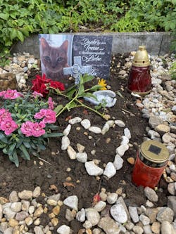 Personalisierte Gedenktafel für Katzen