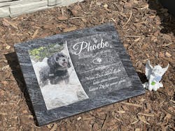 Personalisierte Gedenktafel für Hunde