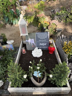 Personalisierte Gedenktafel für Hunde