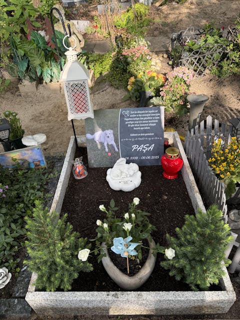 Personalisierte Gedenktafel für Hunde