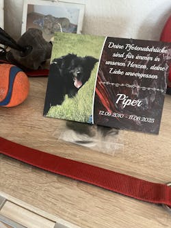Personalisierte Gedenktafel für Hunde