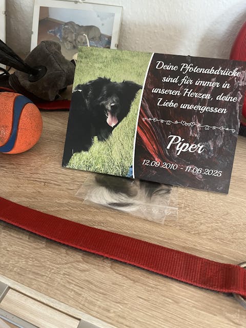Personalisierte Gedenktafel für Hunde