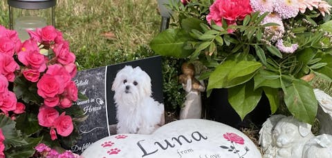 Personalisierte Gedenktafel für Hunde