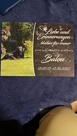 Personalisierte Gedenktafel für Hunde