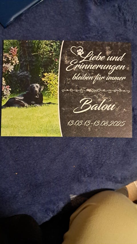 Personalisierte Gedenktafel für Hunde