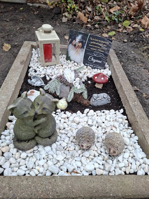 Personalisierte Gedenktafel für Hunde