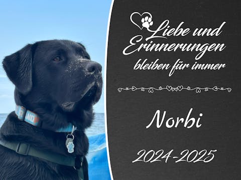 Personalisierte Gedenktafel für Hunde
