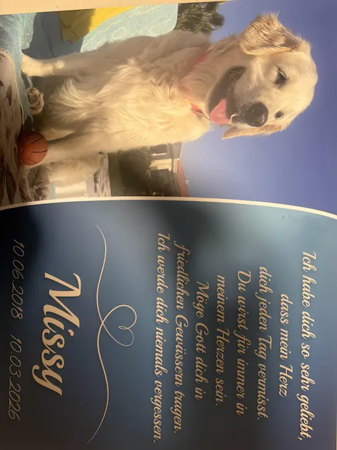 Personalisierte Gedenktafel für Hunde