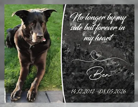 Personalisierte Gedenktafel für Hunde