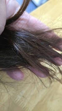 10ml Summer Rain Conditioner (100% off)