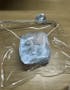 Ocean Shell Squishy Fidget Toy