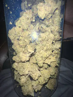 Review picture