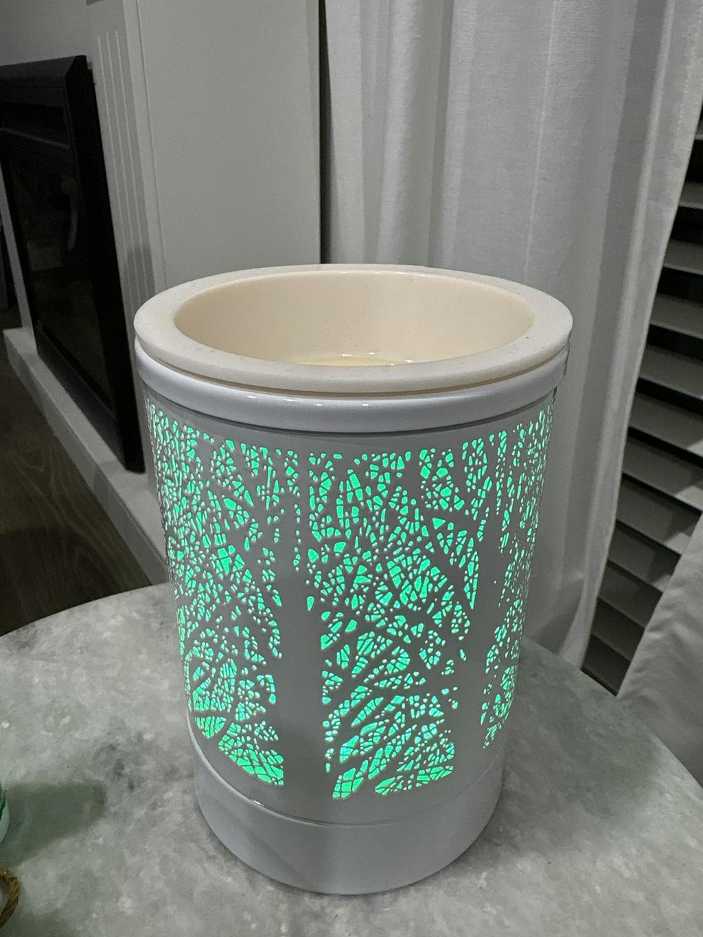Melty Wax Electric Warmer
