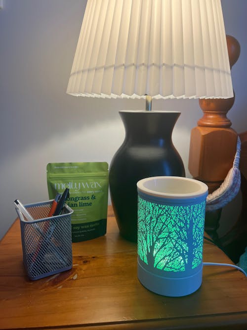Melty Wax Electric Warmer