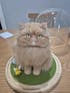 Memorpaw Wool Felt Pet Customization