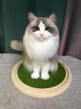 Memorpaw Wool Felt Pet Full Body Portrait Customization