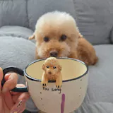 Memorpaw Custom Pet Ceramic Peekaboo Mug