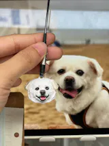 Memorpaw Customized Soft Ceramic Pet Portrait Necklace Ring Brooch Keychain