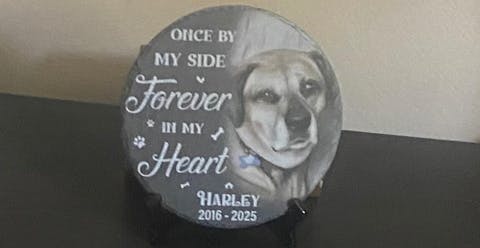 Dog Headstones, Dog Tombstone, Dog Gravestones, Personalized Dog Memorial Stone, Pet Memorial Gifts, Pet Loss Gifts, Pet Memorial Stones- Round Shape