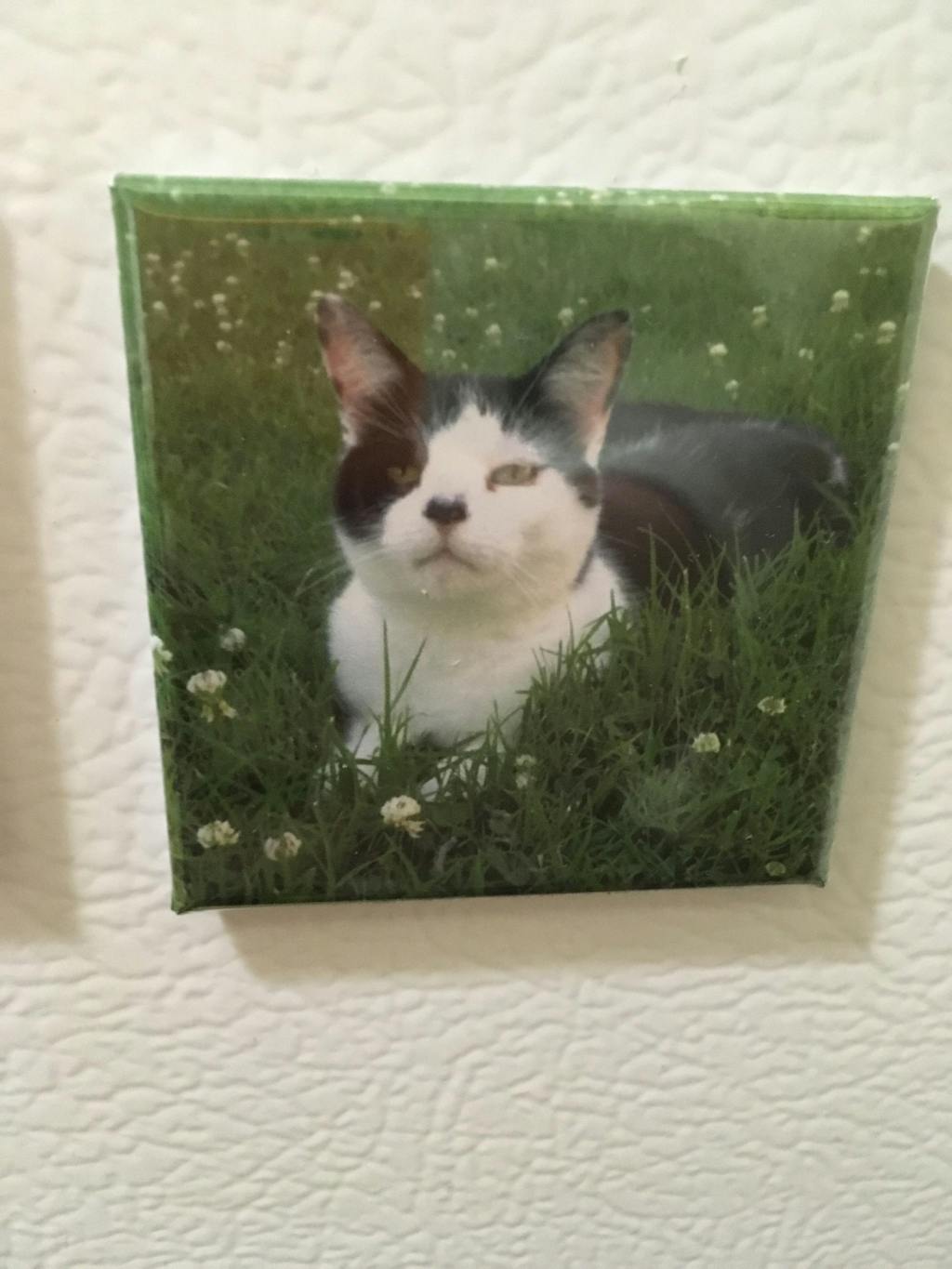 High Quality Custom Photo Magnets