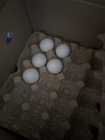 Huevos Extra 100 Unidades