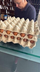 Huevos Extra Color 60 Unidades