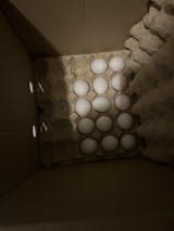 Huevos Primera 100 Unidades