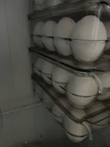 Huevos Primera 180 Unidades