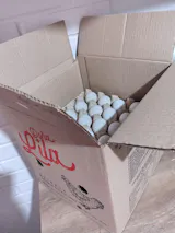 Huevos Segunda 100 Unidades