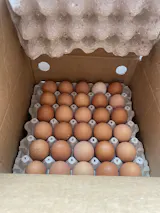 Huevos Extra Color 180 Unidades