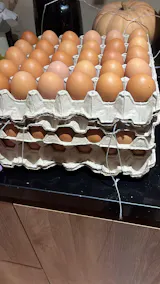 Huevos Extra Color 60 Unidades