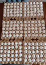 Huevos Segunda 180 Unidades