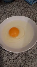 Huevos Extra Color 100 Unidades