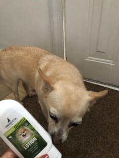 DERMagic Skin Rescue Lotion