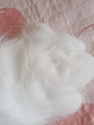 Cute cat claws thickened foot covers