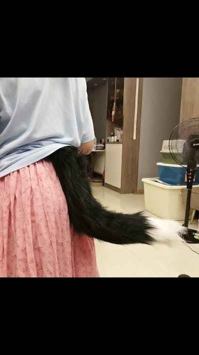 fursuit tail gloves plush cat paw set