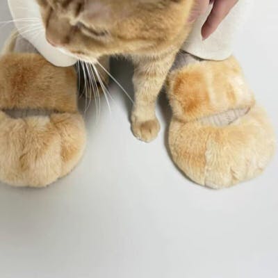 Cat paw shoes winter fleece-lined slippers