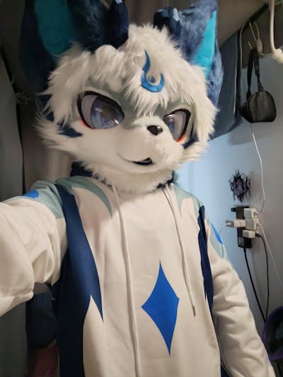 Fury custom animal costume hoodies