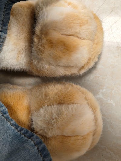 Cat paw shoes winter fleece-lined slippers